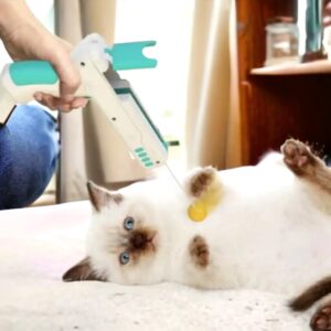 Brinquedo para Gato Pistola