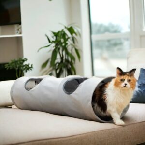 Túnel Dobrável para Gato
