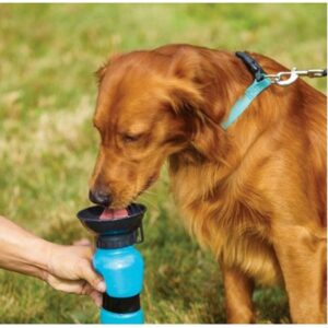Bebedouro para Cães Portátil