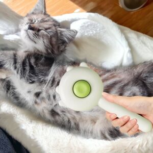 Escova para animais de estimação