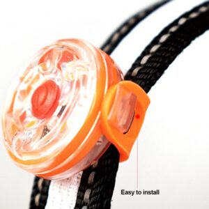 Luz Led Sinalizadora para Coleira Animal