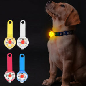 Luz Led Sinalizadora para Coleira Animal